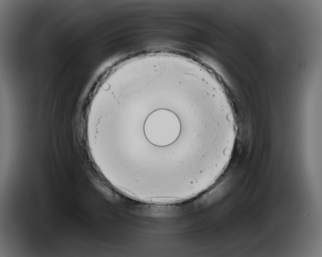 X0000083060832200703022132