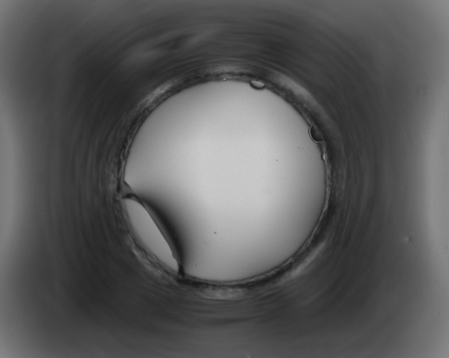 X0000083060833200703022132