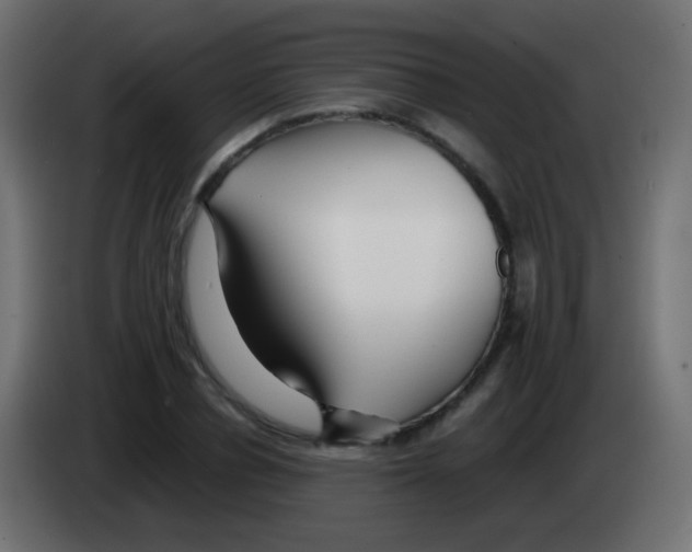 X0000083060834200703022132