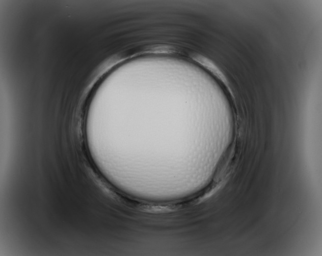 X0000083060835200703022132