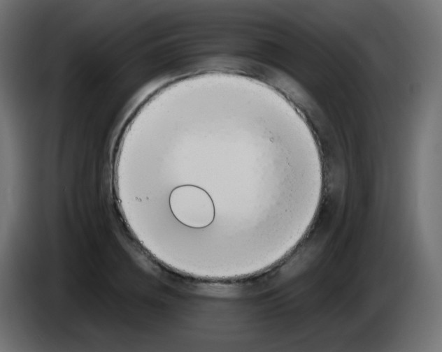 X0000083060836200703022132