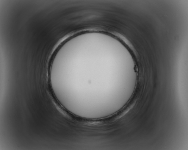 X0000083060837200703022132