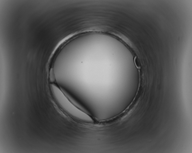 X0000083060838200703022132