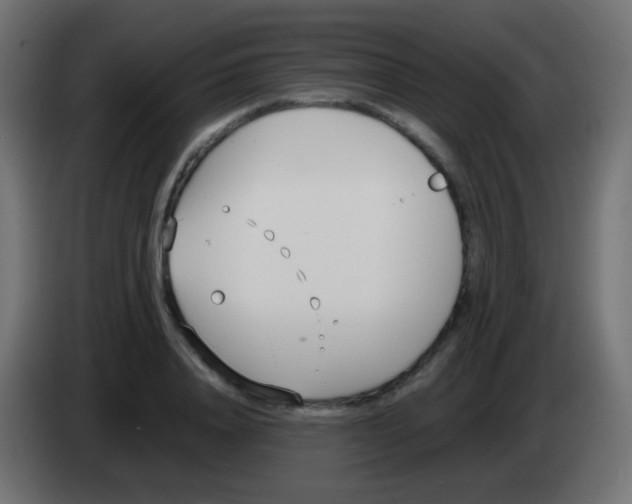 X0000083060840200703022132