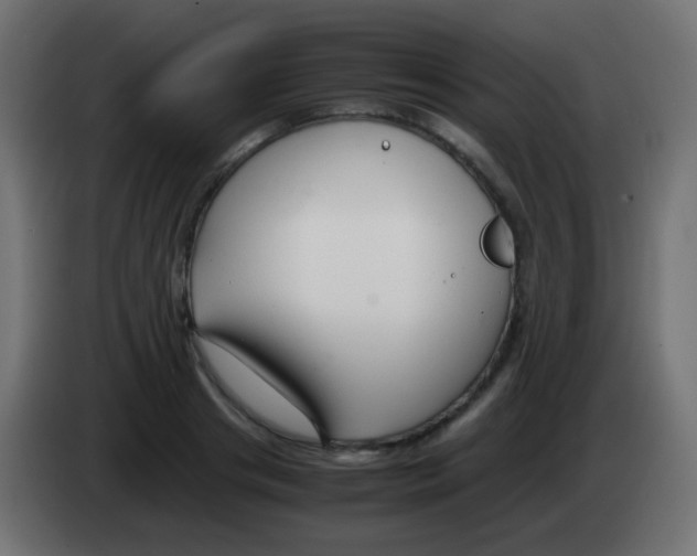 X0000083060841200703022132