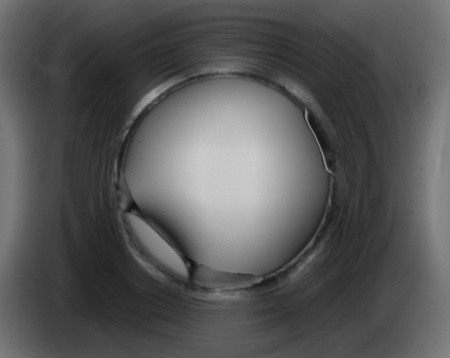 X0000083060842200703022132