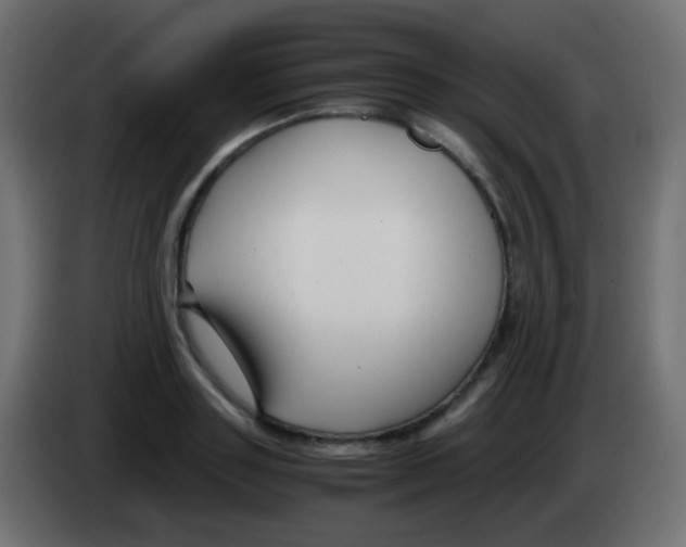 X0000083060843200703022132