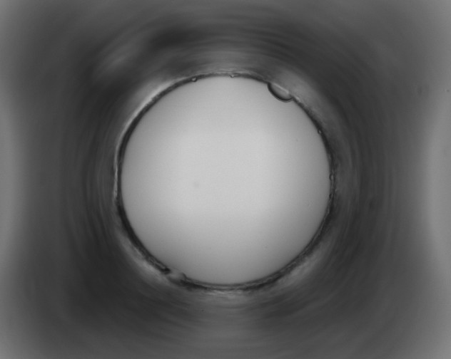 X0000083060844200703022132