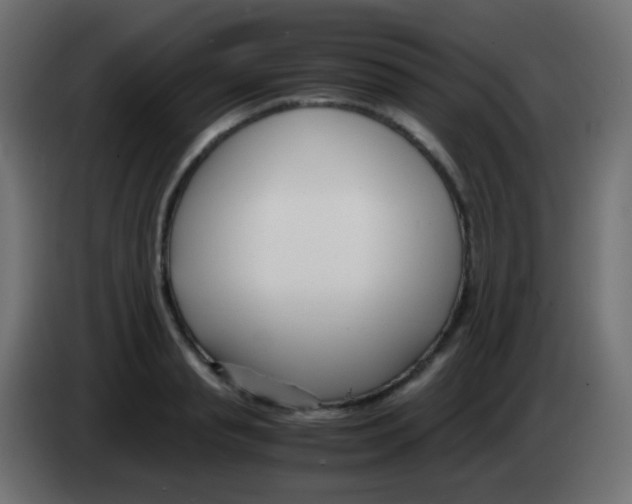 X0000083060845200703022132