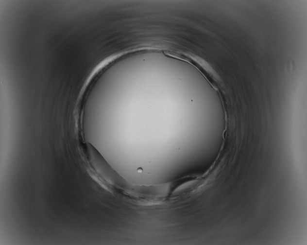 X0000083060846200703022132