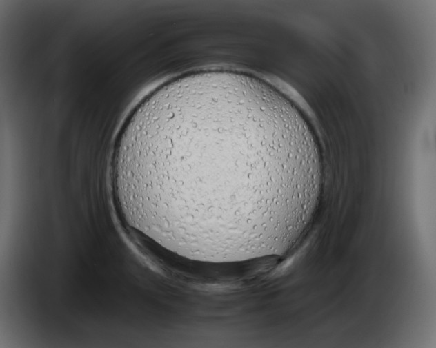 X0000083060847200703022132