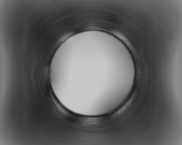 X0000083060849200703022132