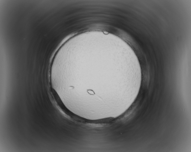 X0000083060852200703022132