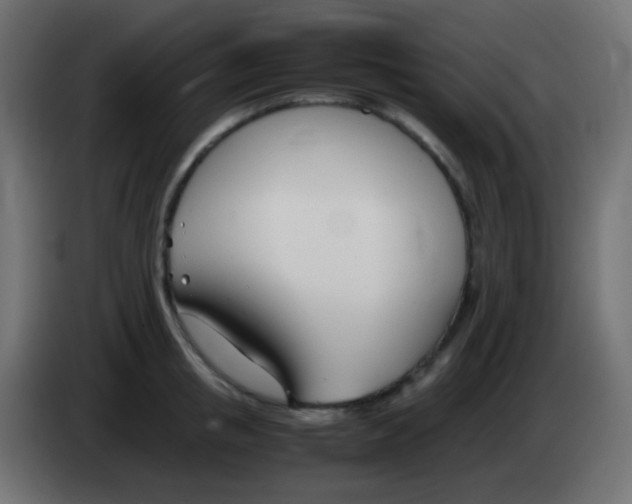 X0000083060853200703022132