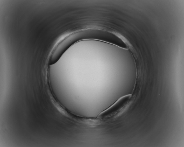 X0000083060854200703022132