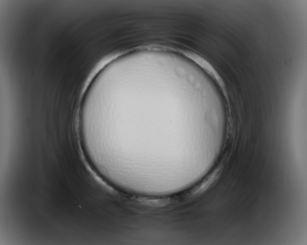 X0000083060855200703022132