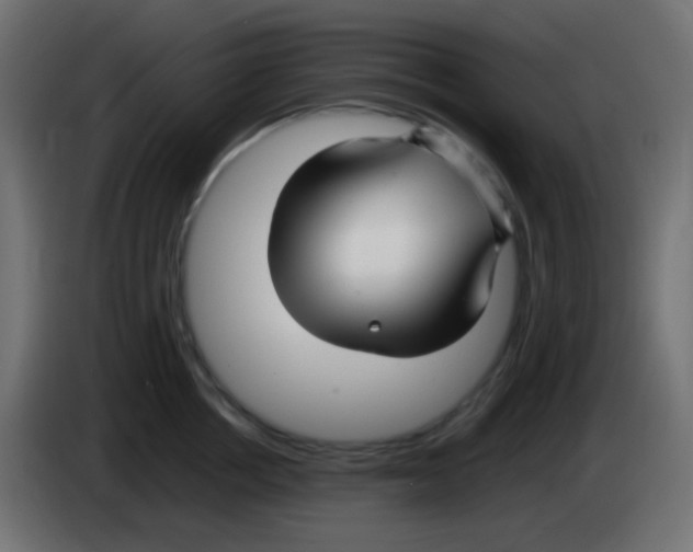 X0000083060858200703022132