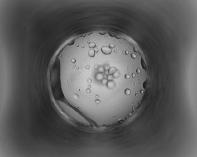 X0000083060859200703022132