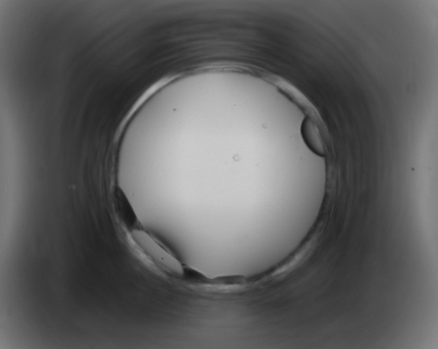 X0000083060860200703022132