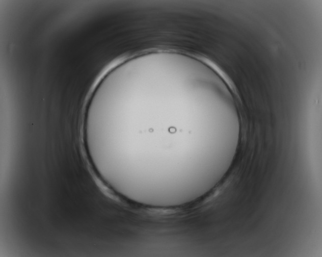 X0000083060861200703022132