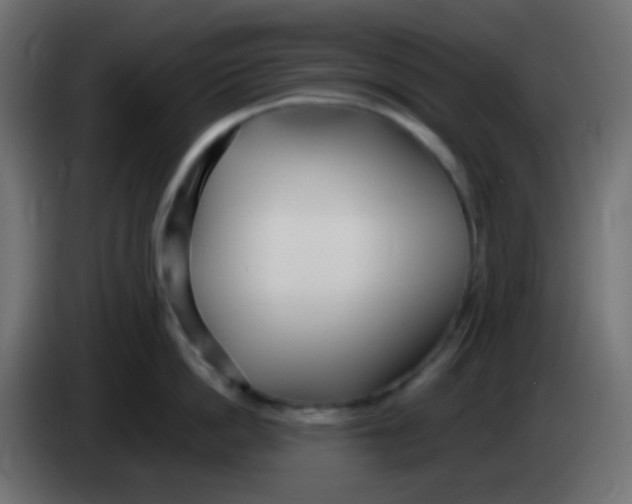 X0000083060862200703022132