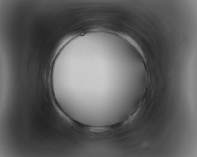 X0000083060863200703022132