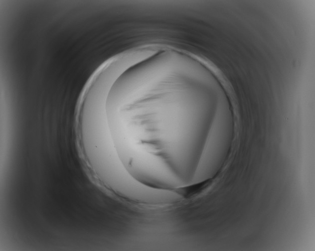 X0000083060864200703022132