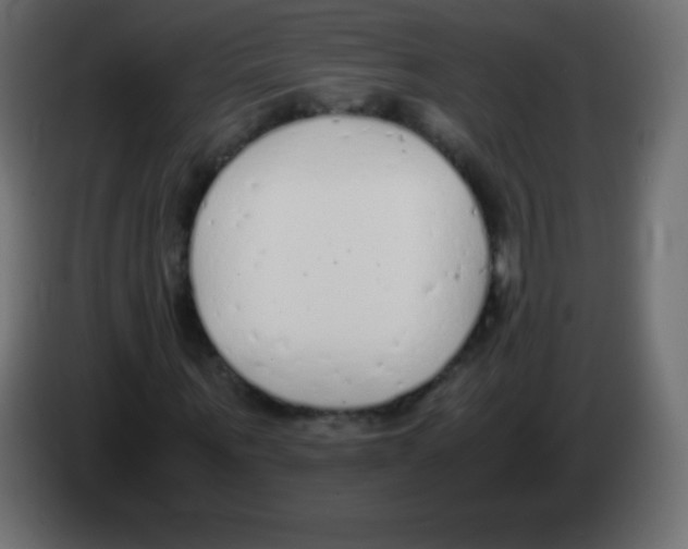 X0000083060867200703022131