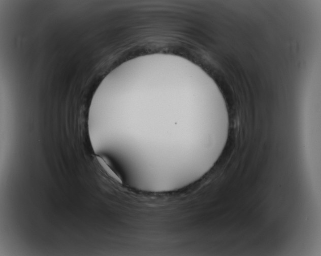 X0000083060868200703022131