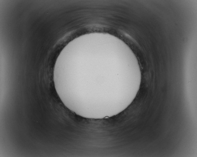 X0000083060870200703022131