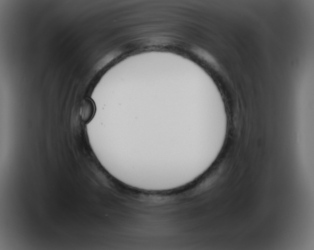 X0000083060873200703022131