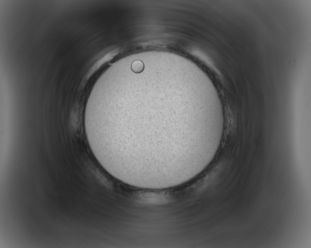 X0000083060874200703022131