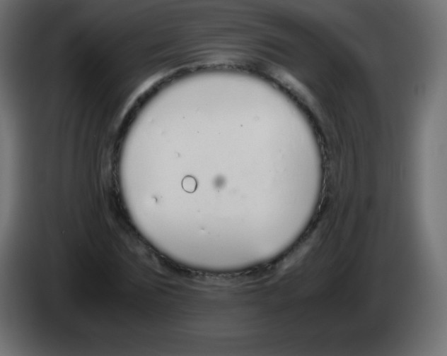 X0000083060875200703022131