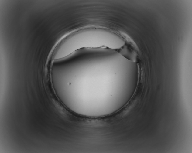 X0000083060876200703022131