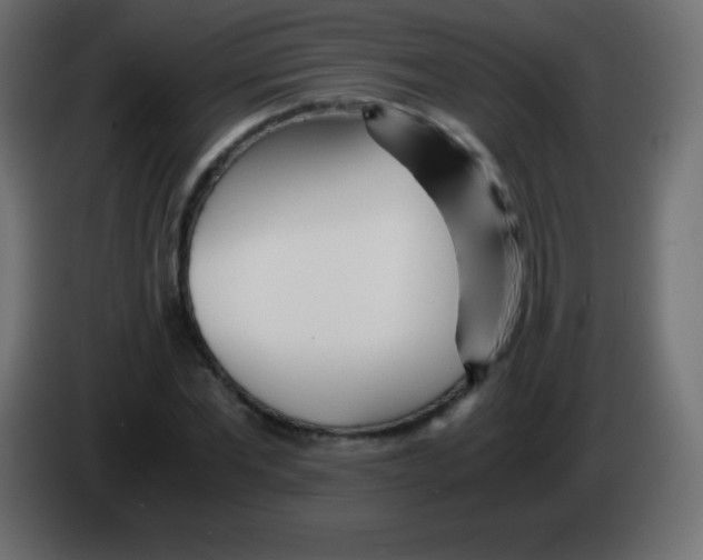 X0000083060877200703022131