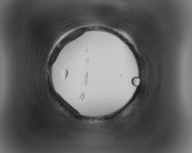 X0000083060879200703022131