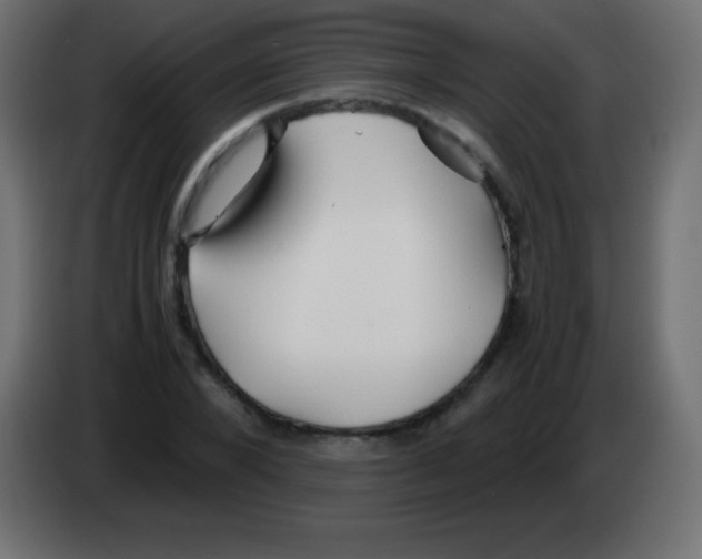 X0000083060880200703022131