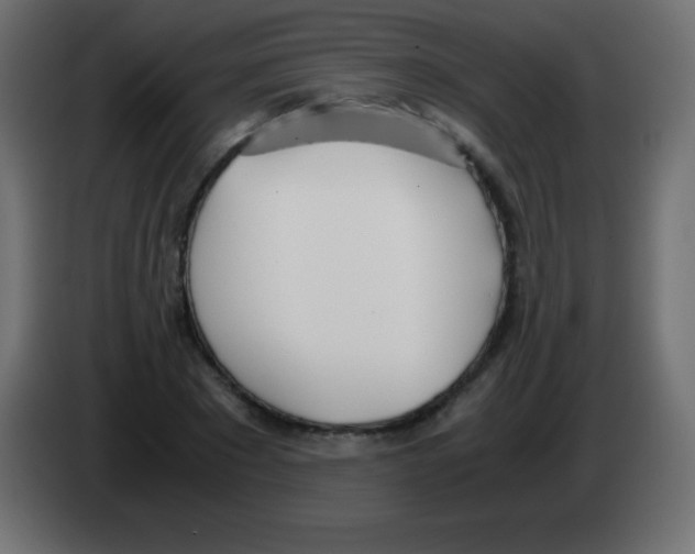 X0000083060881200703022131