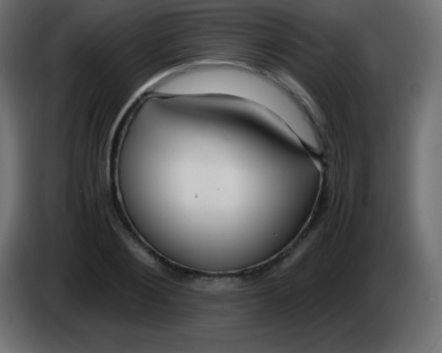 X0000083060884200703022131