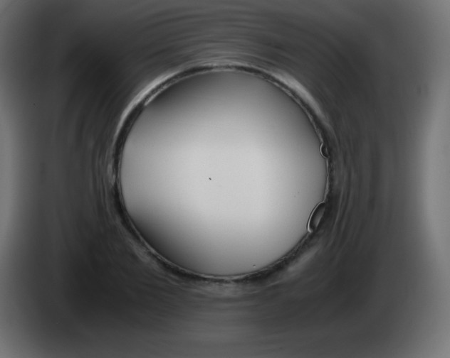 X0000083060885200703022131