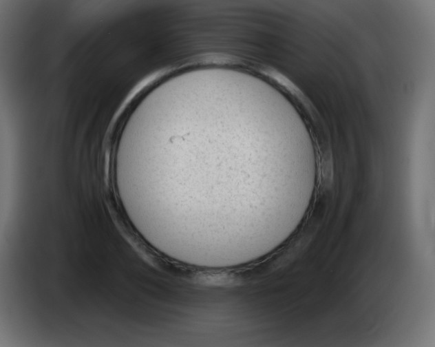 X0000083060886200703022131