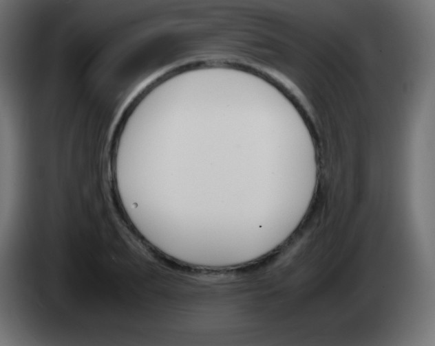 X0000083060887200703022131