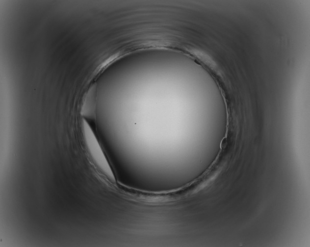 X0000083060889200703022131