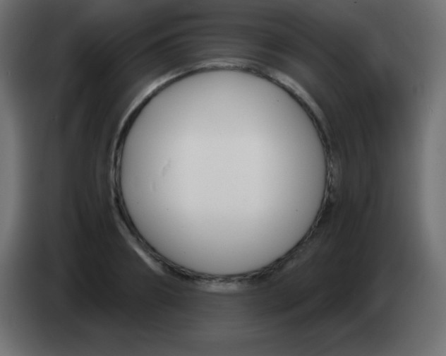 X0000083060890200703022131