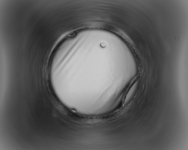 X0000083060891200703022131