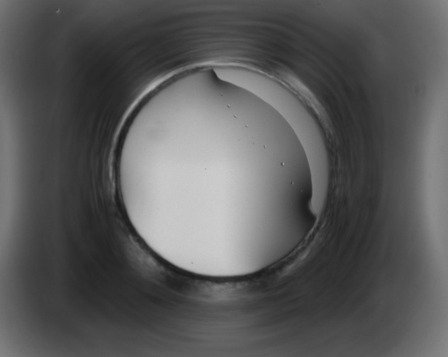 X0000083060892200703022131