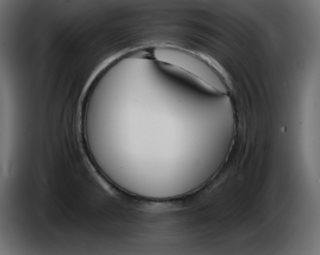 X0000083060894200703022131