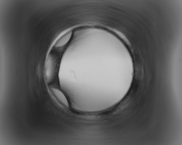 X0000083060895200703022131