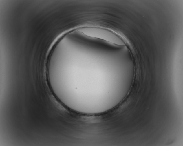 X0000083060896200703022131