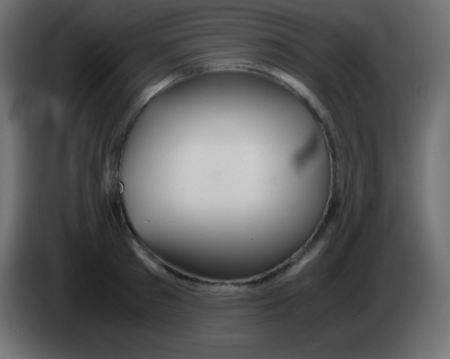 X0000083060897200703022131